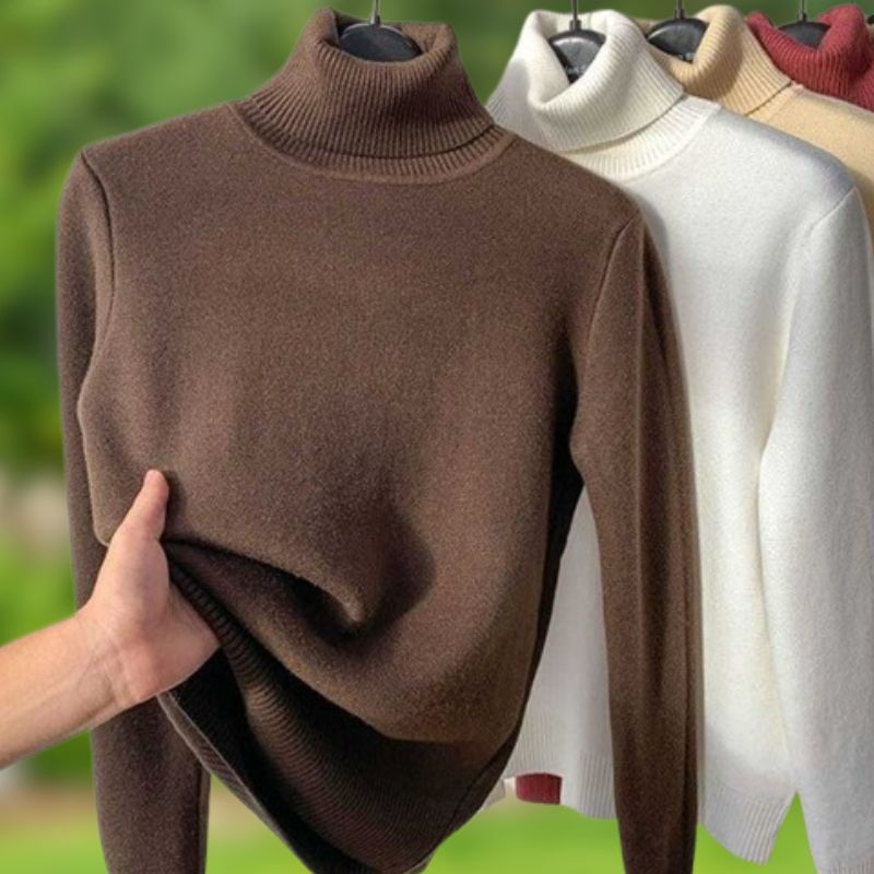 Amelia Fine-Gauge Turtleneck Sweater with Long Sleeves in Brown