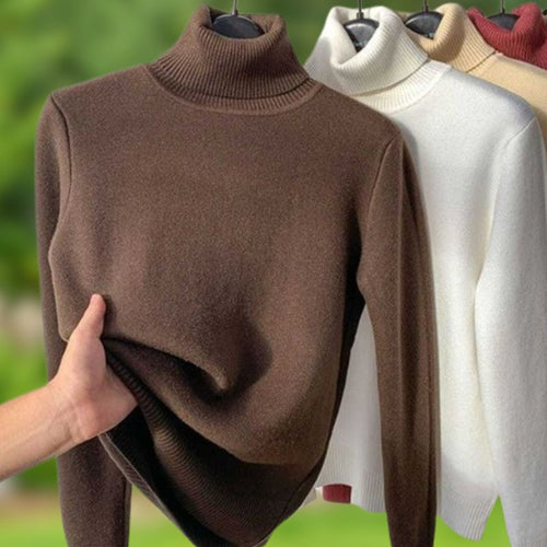 Amelia Fine-Gauge Turtleneck Sweater with Long Sleeves in Brown