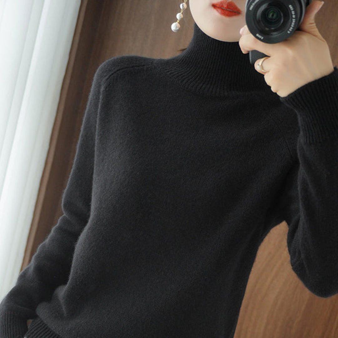 Euphrasia Soft Knit Turtleneck Sweater in a Plain Weave in Black